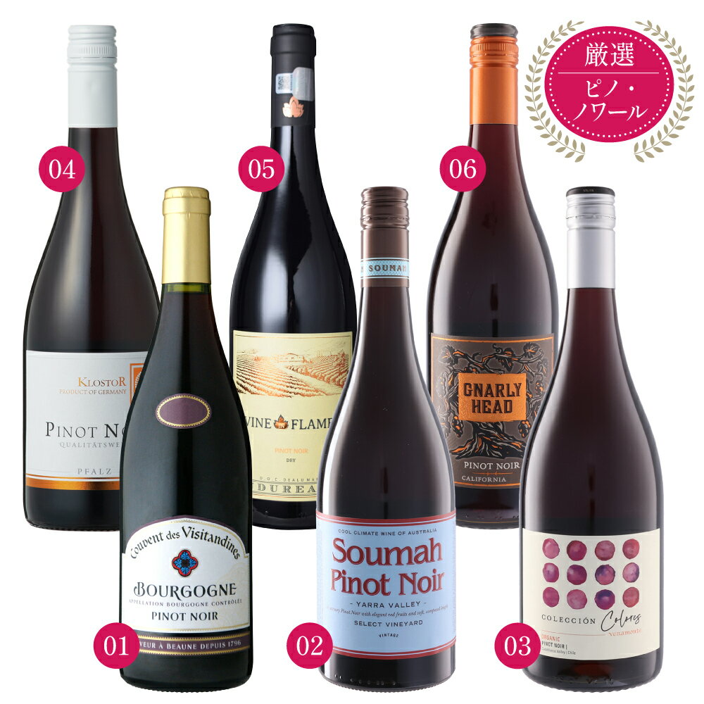 【6本セット】世界のピノノワール 750ml × 6本 赤ワインセット フランス オーストラリア チリ ドイツ ルーマニア アメリカ 送料無料