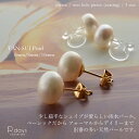 淡水パール ピアス ノンホールピアス イヤリング R-days フラットパール 6mm 8mm 10mm ゴールドカラー ステンレス 樹脂ピアス アレルギーフリ...