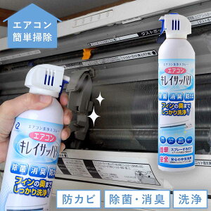 エアコン洗浄スプレー クリーナー 日本製 防カビ 除菌 消臭 中性 420ml エアコン内部クリーナー A-76952 アイデア 便利 アイデア雑貨
