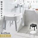 風呂イス 25cm お風呂 椅子 カビ ない イス マグネット バスルーム 風呂 山崎実業 ミスト マグネット風呂イス ミスト SH25