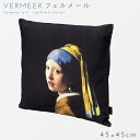 NbVJo[ 45~45cm  _ NbV Jo[ A[g G G  `[t ObY CeA rO \t@[  OWA[ LG L  tF[ Vermeer ^[ȍ l NbVJo[ tF[ Ve...