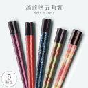 箸 お箸 日本製 越前塗 業務用食洗機対応 食洗器対応 樹脂製 丈夫 強度 耐熱 五角箸 21.0cm 22.5cm 合格箸 亀甲 矢 花柄 豆絞 パステル 和...