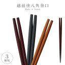 箸 お箸 日本製 越前塗 業務用食洗機対応 食洗器対応 樹脂製 丈夫 強度 耐熱 八角谷口箸 22.5cm 男女兼用 黒 茶 無地 洗練 家庭用 自宅用 来客 ...
