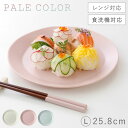 皿 プレート 25cm L おしゃれ 割れな