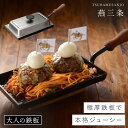 燕三条 フライパン 大人の鉄板 鉄板小 鉄板焼き 蓋つき 日本製 鉄板プレート オークス AUX 鉄板料理 ステーキ グリル グリル料理 グリルパン OTS81...
