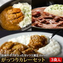 【C配送】がっつりカレーセット 3食入り 送料無料 お取り寄せグルメ インド 欧風 スパイス カレー 惣菜 ストック 冷凍食品 簡単調理 一人暮らし ビーフ ポーク 湯煎 冷凍ストック 便利 本格的