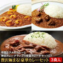 【C配送】贅沢極まる!豪華カレーセット 3食入り 送料無料 お取り寄せグルメ インド 欧風 スパイス カレー 惣菜 ストック 冷凍食品 簡単調理 一人暮らし ビ...