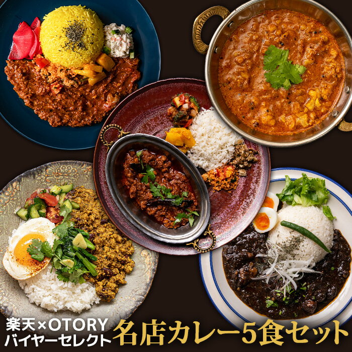 スパイスカレー厳選 5食セット【C配送】 冷凍カレー スパイス kikuchi curry アチャカナ イーカスーク 小さかった女 シバカリーワラ 無水 チキンカレー ロースト チキン キーマのサムネイル