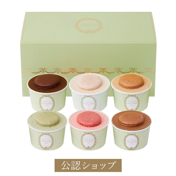 【C配送】 お歳暮 LADUREE アイスクリーム 6個入りBセット マカロン ソルベ ギフト 送料無料 スイーツ 詰め合わせ ラデュレ 通販 お歳暮 ウインターギフト 冬ギフトのサムネイル