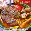 スープカレー 奥芝商店 宗谷岬直送おくしばーぐスープカレー（2パック入り） 中辛【C配送】 2人〜4人前 人気店 カレー 冷凍カレー グルメ 海鮮