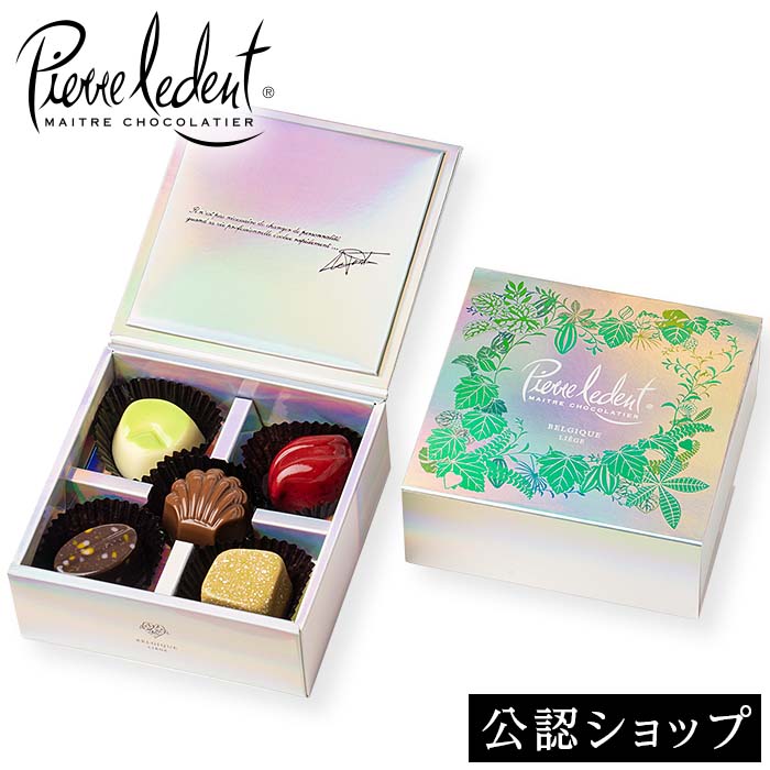 【A配送】ピエール・ルドン サンク・エトワール ビジネス 手土産 お返し 出産 結婚 職場 ご褒美 贅沢 高級 退職 贈り物 プレゼント ギフト スイーツ お祝い チョコ洋菓子 かわいいのサムネイル