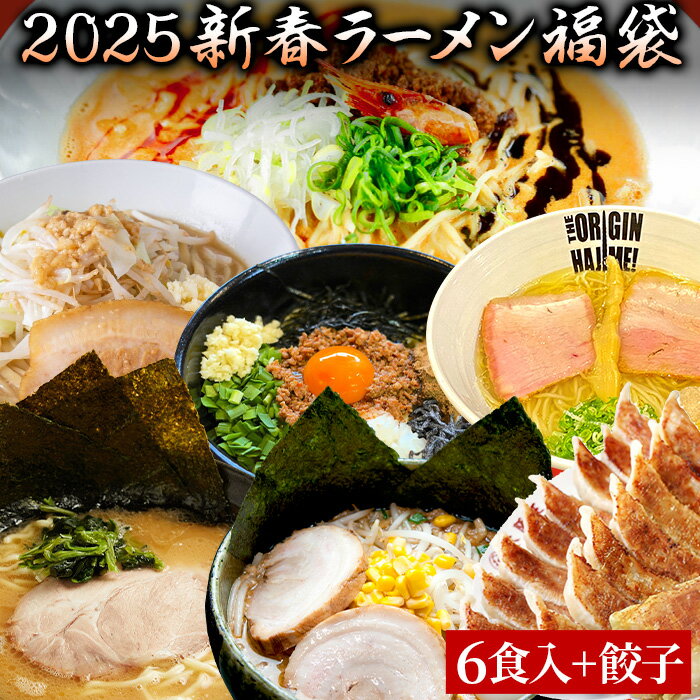 【C配送】＼2025年新春限定！／豪華ラーメン福袋 6食入（おまけ餃子付き！） 冷凍 お取り寄せ グルメ 麺とスープのセット ラーメン 拉麺 らーめん 具材付き 有名店 冷凍 醤油 塩 魚介系 つけ麺 冷凍 本格のサムネイル