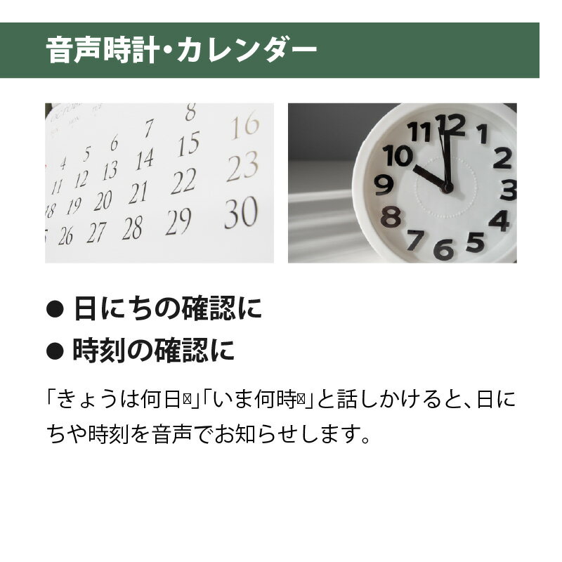 群馬電機 音声認識ぬいぐるみ おしらせハチくん おしらせミイちゃん おしゃべり ぬいぐるみ 介護用品 高齢者 忘れ 認知 録音 音声 会話 声掛け プレゼント 敬老の日 かわいい 音声認識 電子ペット しゃべる犬 しゃべる猫【メーカー直送】