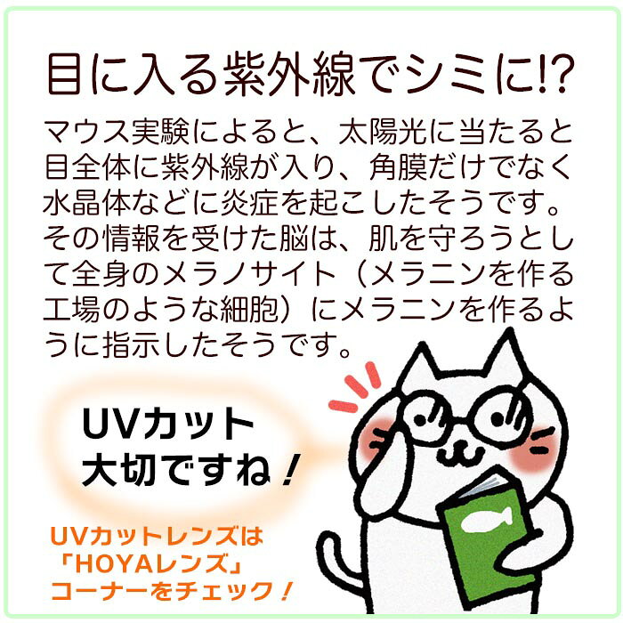 大きいボストンの福袋です。どんなスタイルにもマッチし、ビジネスシーンからカジュアルまで幅広く活躍します。高品質な素材を使用しており、耐久性と快適さを兼ね備えています。1~3日で発送・ネコポス便無料・HOYA度付き球面レンズ無料。 r-g-begin-10000108 ジクリ サンプル画像2