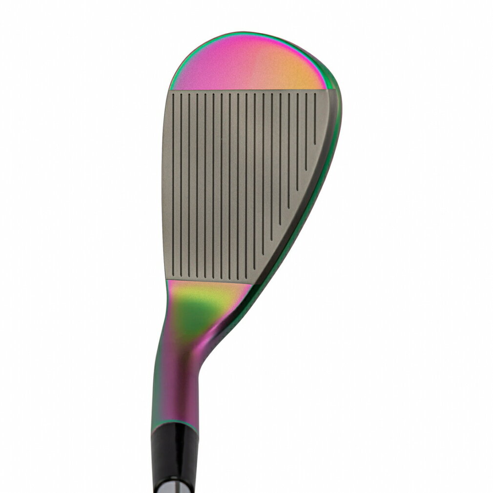 キャスコ DW-123レインボー neo W50 ゴルフ ウェッジ N.S.PRO 950GH neo 50゜/2゜ 2024年モデル メンズ kasco