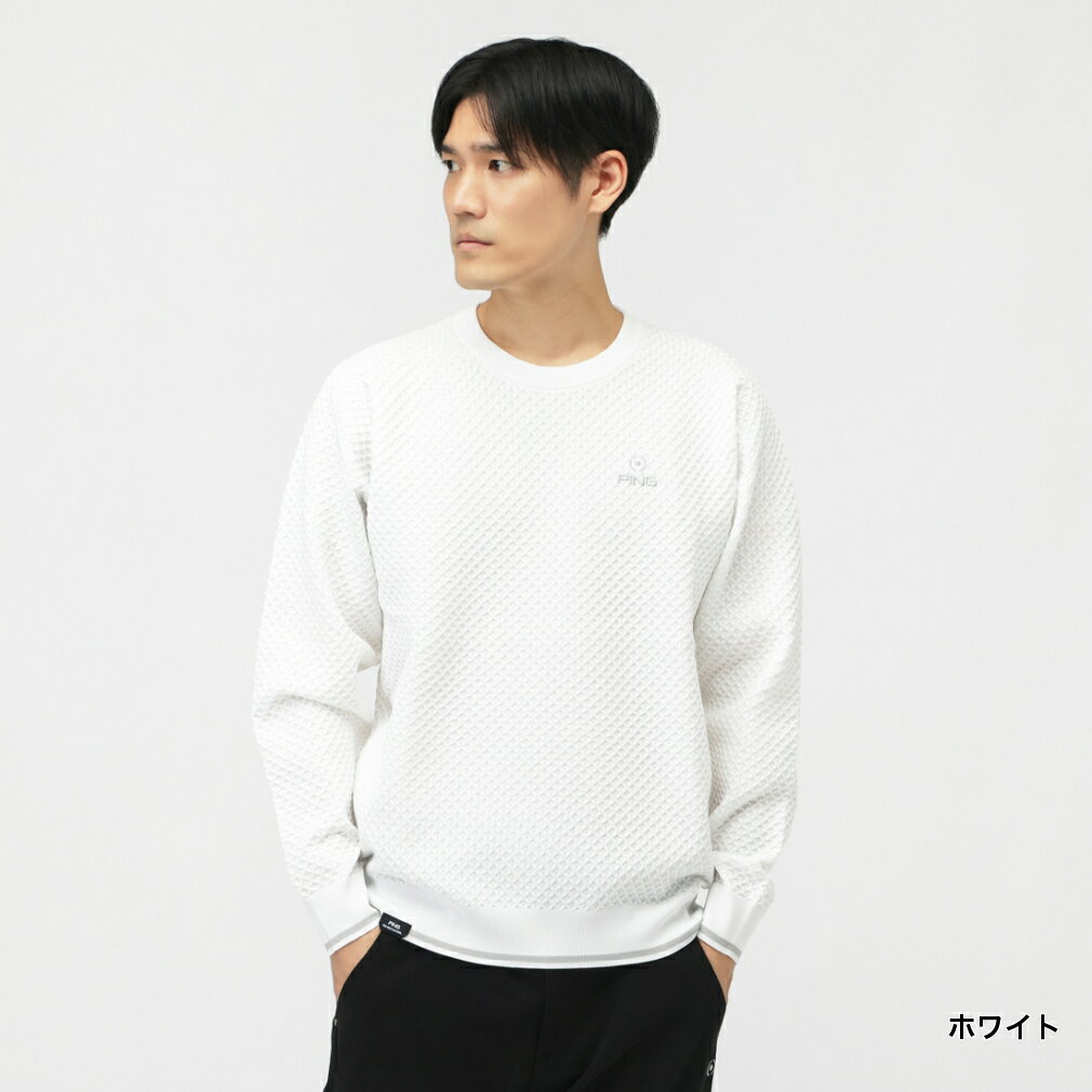 ピン ゴルフウェア 長袖セーター 秋 冬 ハチノス編みクルーネックニット (6215270901) メンズ PING