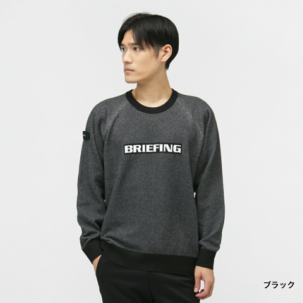 ブリーフィング ゴルフウェア 長袖セーター 秋 冬 MS BIRDS EYE LOGO CREWNECK KNIT (BRG253M33) メンズ BRIEFING