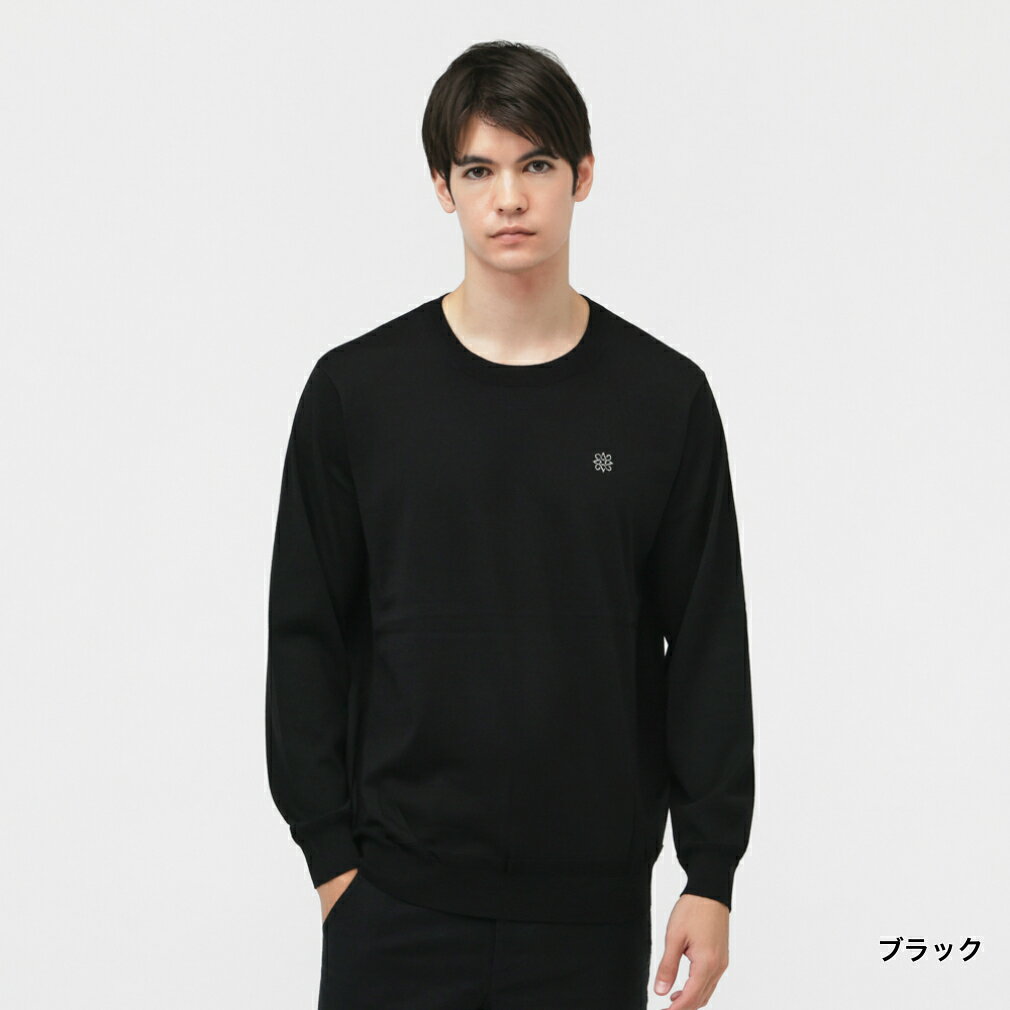 セントアンドリュース ゴルフウェア 長袖セーター 秋 冬 16G天竺プルオーバーニット (0425270003) メンズ St ANDREWS