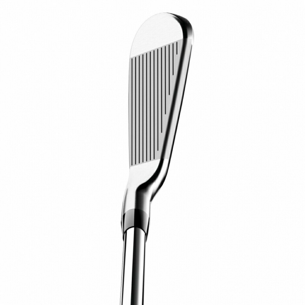 タイトリスト ゴルフ アイアンセット T200 NS PRO 880 AMC 5本 2021年モデル メンズ Titleist