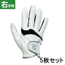 5枚セット イグニオ IG-1G1345R ゴルフグローブ メンズ ゴルフ 右手 IGNIO