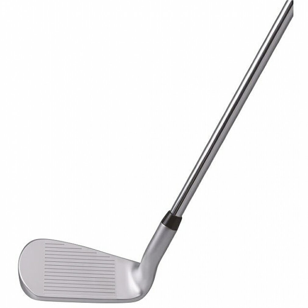 キャスコ ウェッジ DFW-119 ドルフィン フライングウェッジ 日本シャフト製ドルフィンオリジナルシャフト 55゜ 0゜ 2019年モデル メンズ kasco