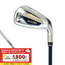ゼクシオ XXIO13 ゼクシオ13 メンズ スチールアイアンセット ゴルフ アイアンセット 5本セット 2024年モデル メンズ ダンロップ XXIO