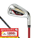 ゼクシオ XXIO13 ゼクシオ13 メンズ カーボンアイアンセット レッド ゴルフ アイアンセット 5本セット 2024年モデル メンズ ダンロップ XXIO