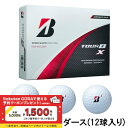 ブリヂストン 24 TOUR B X ツアー B X コーポレート (B4CXJ) 1ダース(12球入) ゴルフ 公認球 BRIDGESTONE