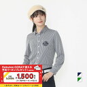 ティゴラ レディース ゴルフウェア 長袖シャツ 秋 冬 長袖ストライプシャツ ストレッチ 吸水速乾 UVカット (TR-1L2534P) TIGORA