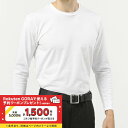 イグニオ ゴルフウェア 長袖インナーシャツ 秋 冬 iHEAT アイヒート コットンクルーネック長袖インナー (IG-9C17302TL) メンズ IGNIO