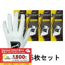 5枚セット スリクソン ゴルフウェア ゴルフグローブ グローブ GGGS027 プロの好みに合わせた3タイプのプロシリーズ しっとり柔らかタイプ メンズ SRI...