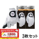 3枚セット タイトリスト ゴルフウェア プロフェッショナル ゴルフグローブ TG73 (6665288058) メンズ : ホワイト Titleist