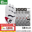 5枚セット ブリヂストン ゴルフウェア ゴルフグローブ GLG21R STRONG DUAL 厚手 右手 (GLG21R) 史上かつてない厚さ 2 層構造厚手モ...