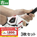 3枚セット ミズノ ゴルフウェア ゴルフグローブ W-GRIP(ダブルグリップ) 右手用 (5MJMR40101) メンズ : ホワイト×レッド MIZUNO
