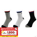 ラルフローレン ゴルフウェア ソックス 3足組 春 夏 PL爪先踵切替ST (2009-511) メンズ : マルチカラー RALPH LAUREN