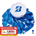 ブリヂストン 氷のう アイスバッグ GAG311 (GAG311) 氷が入れやすい大口径仕様 氷嚢 メンズ BRIDGESTONE