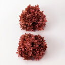 プリザーブドフラワー 花材 即日出荷 ピラミッドアジサイ・ヘッド ナチュラルピンク 花材 素材 材料 パーツ アジサイ あじさい ピンク 紫陽花 花びら プリザ...