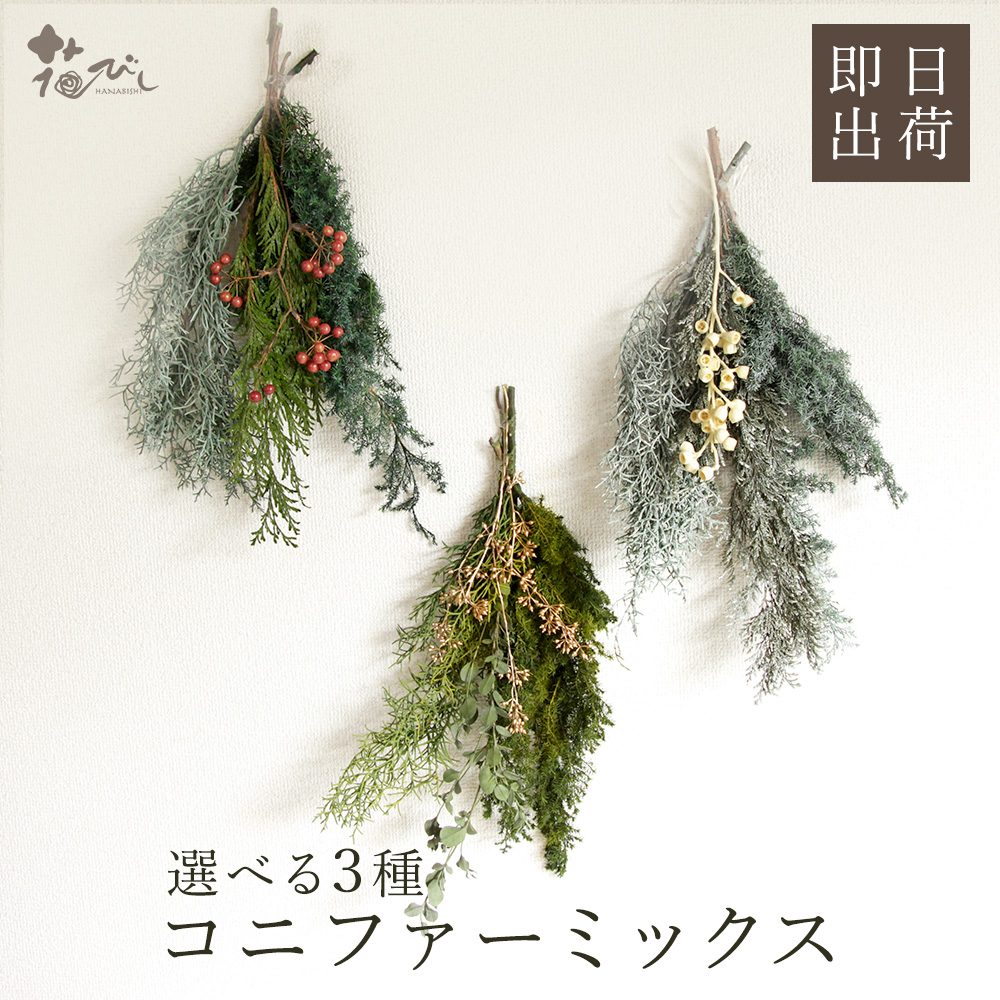 楽天市場】クリスマス スワッグ キットの通販