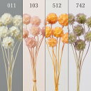 【ポイント10倍中 6/27 09:59迄】 ドライフラワー 花材 即日出荷 ステルンクーゲル 花材 素材 材料 パーツ スカビオサ オレンジ ピンク 白 パー...