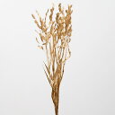 ドライフラワー 花材 即日出荷 ワイルドオーツ ゴールド 花材 素材 材料 パーツ 穂もの ゴールド 金色 麦 ドライフラワー 正月 迎春 クリスマス スワッグ...