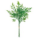 【ポイント10倍中 7/11 09:59迄】 造花 グリーン とりよせ品 バンブーリーフバンチ(1束3本) 竹 笹 人工植物 インテリアグリーン フェイクグリー...