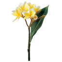 造花 とりよせ品 プルメリア×9 つぼみ×9 レイ ハワイ 南国 トロピカル インテリア インテリアフラワー フェイクフラワー シルクフラワー 花材 素材 アスカ ASCA アスカ商会