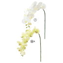 【ポイント10倍中 7/26 09:59迄】 造花 とりよせ品 コチョウラン(M)×8 つぼみ×4 インテリア インテリアフラワー フェイクフラワー シルクフラワー インテリアグリーン フェイクグリーン アートフラワー イミテーション 花材 素材 アスカ ASCA アスカ商会