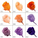 プリザーブドフラワー 花材 とりよせ品 ビビアン(1箱24輪入り) ドライフラワー 花材 素材 パーツ 材料 ローズ ハーバリウム プリザーブドローズ ブリザーブド Preserving ナチュラル バラ 薔薇 プリザーブド仏花 自然素材 インテリア サシェ 卸 大地農園