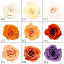 プリザーブドフラワー 花材 とりよせ品 ローズ・ミミ(1箱9輪入り) ドライフラワー 花材 素材 パーツ 材料 ローズ ハーバリウム プリザーブドローズ ブリザーブド Preserving ナチュラル バラ 薔薇 プリザーブド仏花 自然素材 インテリア サシェ 大地農園