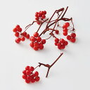 【ポイント10倍中 7/26 09:59迄】 ドライフラワー 花材 とりよせ品 サンキライの実・チップ 花材 素材 材料 パーツ 実もの 正月 ドライフラワー お正月飾り 迎春飾り 迎春アレンジ 正月飾り赤い実 黄色 レッド リース アレンジメント ナチュラル 大地農園