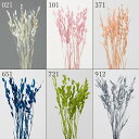 ドライフラワー 花材 とりよせ品 ワイルドオーツ 花材 素材 材料 パーツ 穂もの ピンク 青 ブルー グリーン 白 ホワイト シルバー 銀色 ドライフラワー ...