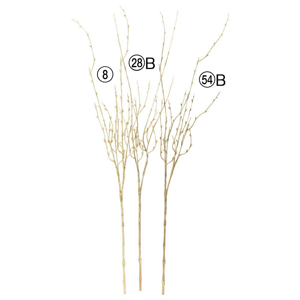 【ポイント15倍中 5/27 9:59迄】 《 造花 グリーン 》 ◆とりよせ品◆Asca(アスカ) ウィロー 枝 長い 大きい バイン インテリア フェイク グリーン パーツ インテリアフラワー フェイクフラワー シルクフラワー インテリアグリーン フェイクグリーン 花材 春