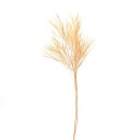 ドライフラワー 花材 とりよせ品 特価 メキシカンフェザー ピーチ ピンク スワッグ 髪飾り 花材 パーツ 材料 花束 ブーケ おしゃれ ディスプレイ ドライフ...