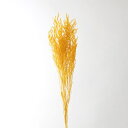 ドライフラワー 花材 とりよせ品 カスピア イエロー 黄色 スワッグ 髪飾り 花材 パーツ 材料 花束 ブーケ おしゃれ ディスプレイ くすみカラー ドライフラ...